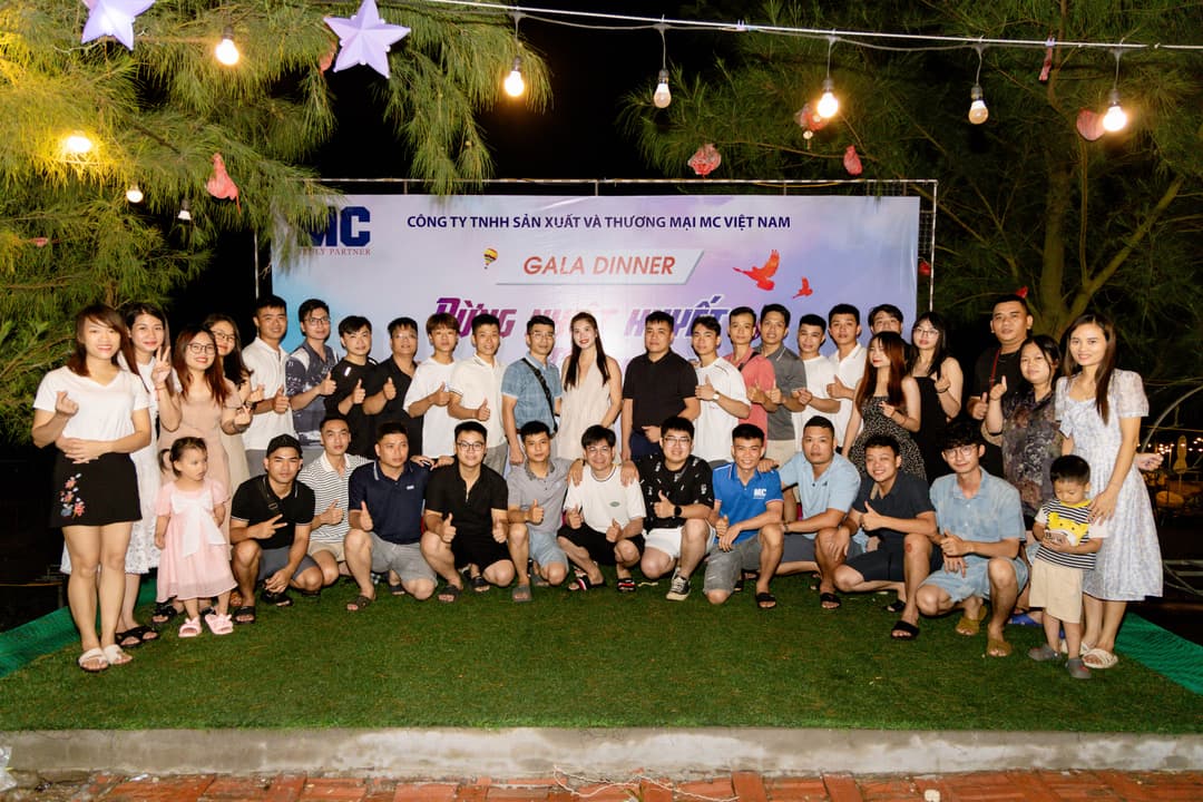 Công ty TNHH MC Việt Nam