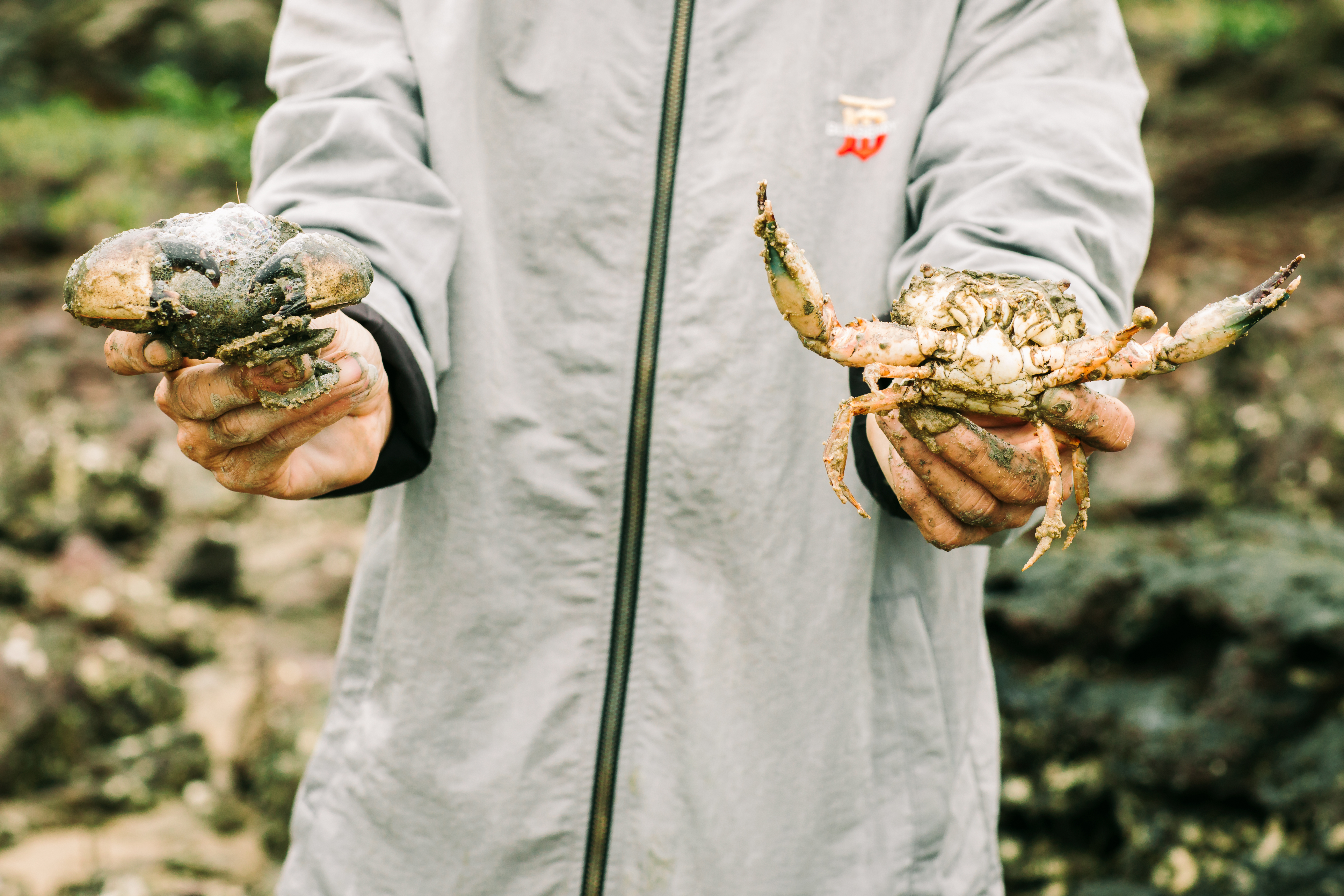 Trải nghiệm thực tế - Soi rúc